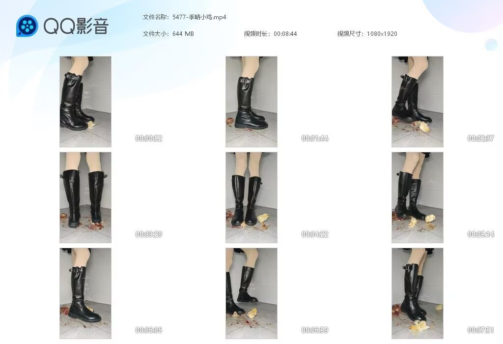 5477-季晴小鸡[202